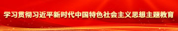 男女下面进进出出好爽的视频学习贯彻习近平新时代中国特色社会主义思想主题教育